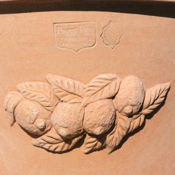 Detail Zitronen Blumentopf
